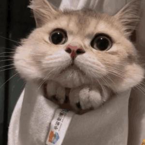 女人脱精光让男人桶
